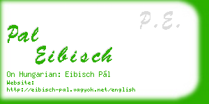 pal eibisch business card